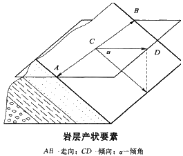 圖片9